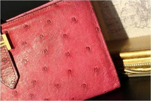 バッグのオーストリッチ