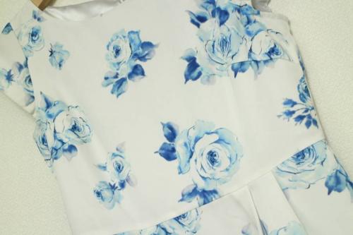 17年07月25日：画像７