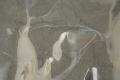 17年09月11日：画像６