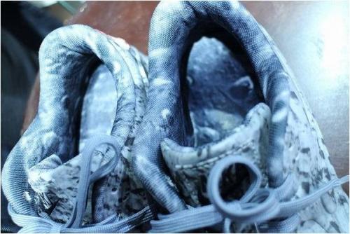 17年11月14日：画像６