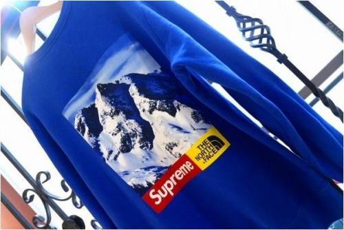 SUPREMEのTHE NORTH FACE