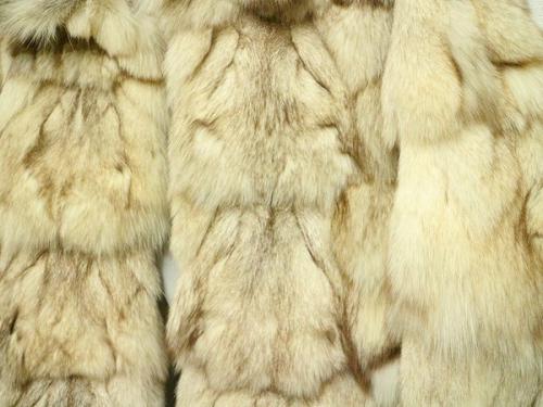 20年01月06日：画像８