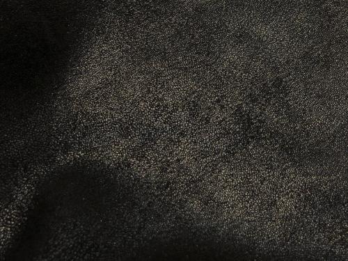 21年01月19日：画像７