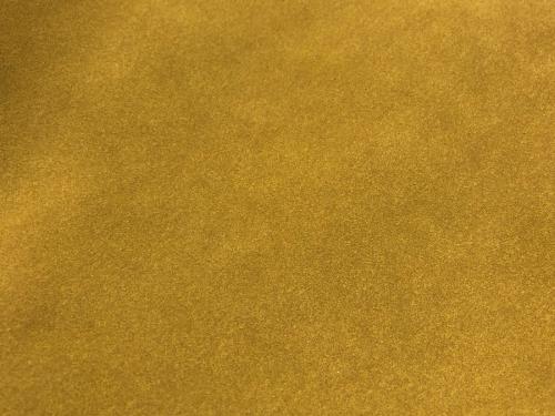 21年01月19日：画像８