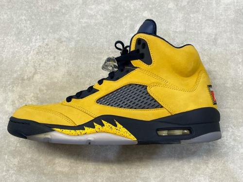 ナイキのCQ9541-704