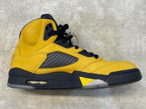 CQ9541-704のミシガン