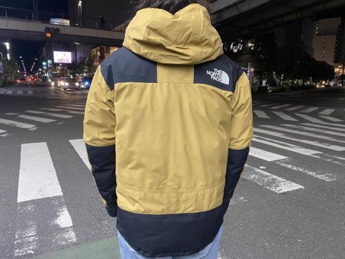 MOUNTAIN DOWN JACKETのND91930