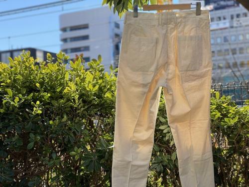 POLYPLOIDのポリプロイド