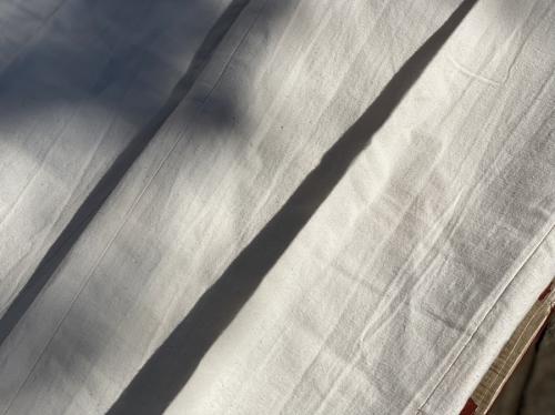 ポリプロイドのフィールドパンツ