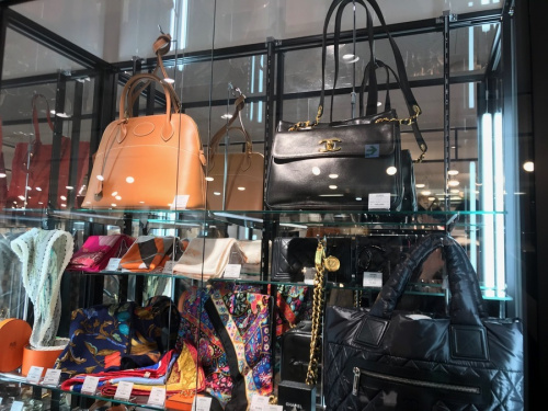 ミュウミュウの目黒区