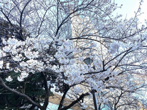 トレファクスタイル目黒店ブログ画像１