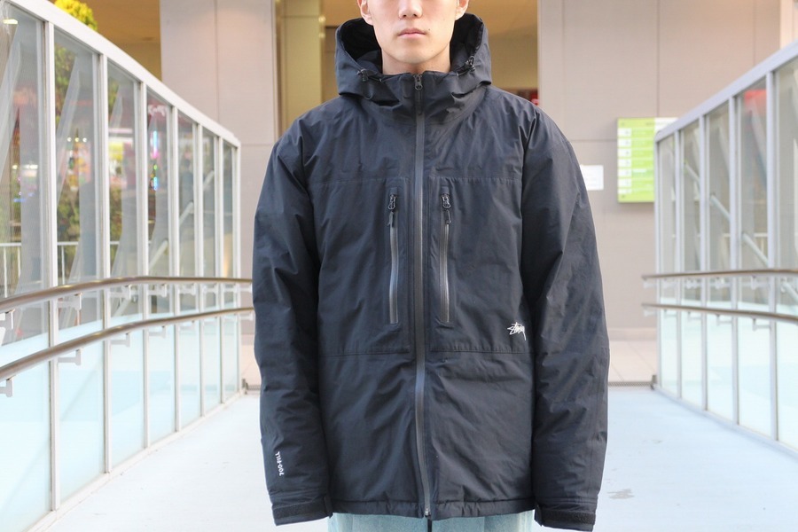 【極美品】STUSSY GORE-TEX PRODUCTS DOWN PARKA