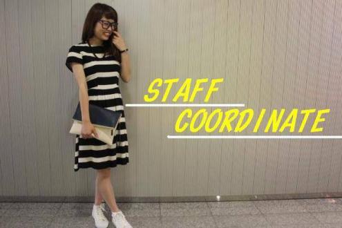 ドンキホーテ トレファクスタイル店舗からの買取 新入荷情報