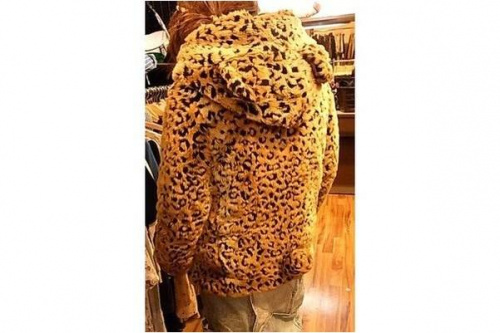 八王子の相模原