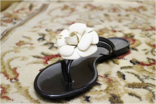 17年06月03日：画像６