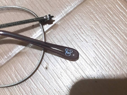 アイウェアのコラボ