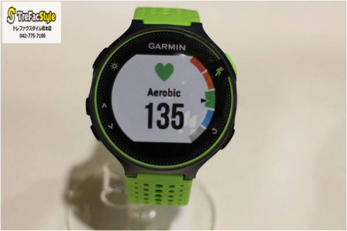 ガーミンの橋本