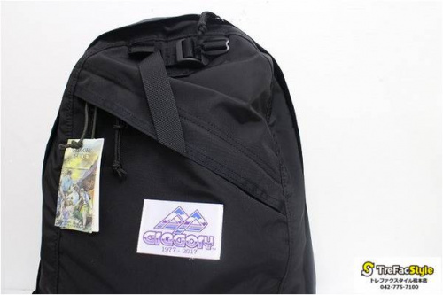 デイパックのリュック