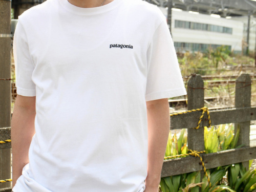 パタゴニアのTシャツ