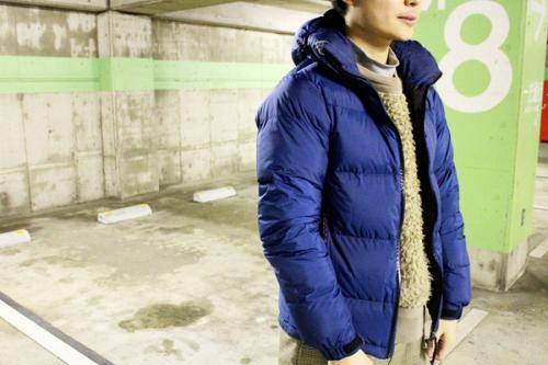 ドメスティック