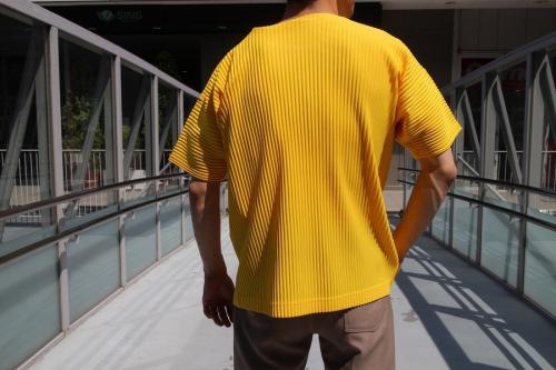 オム プリッセ イッセイ ミヤケのプリーツ半袖カットソー