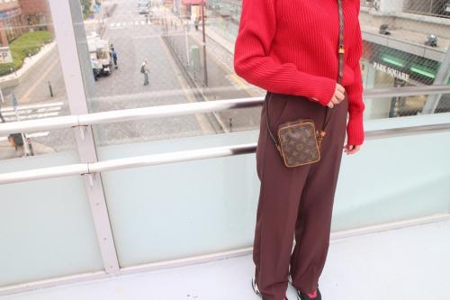 ショルダーバッグのダヌーブ