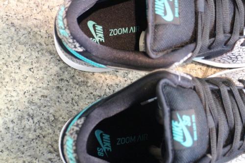 スニーカーのDUNK LOW PRO