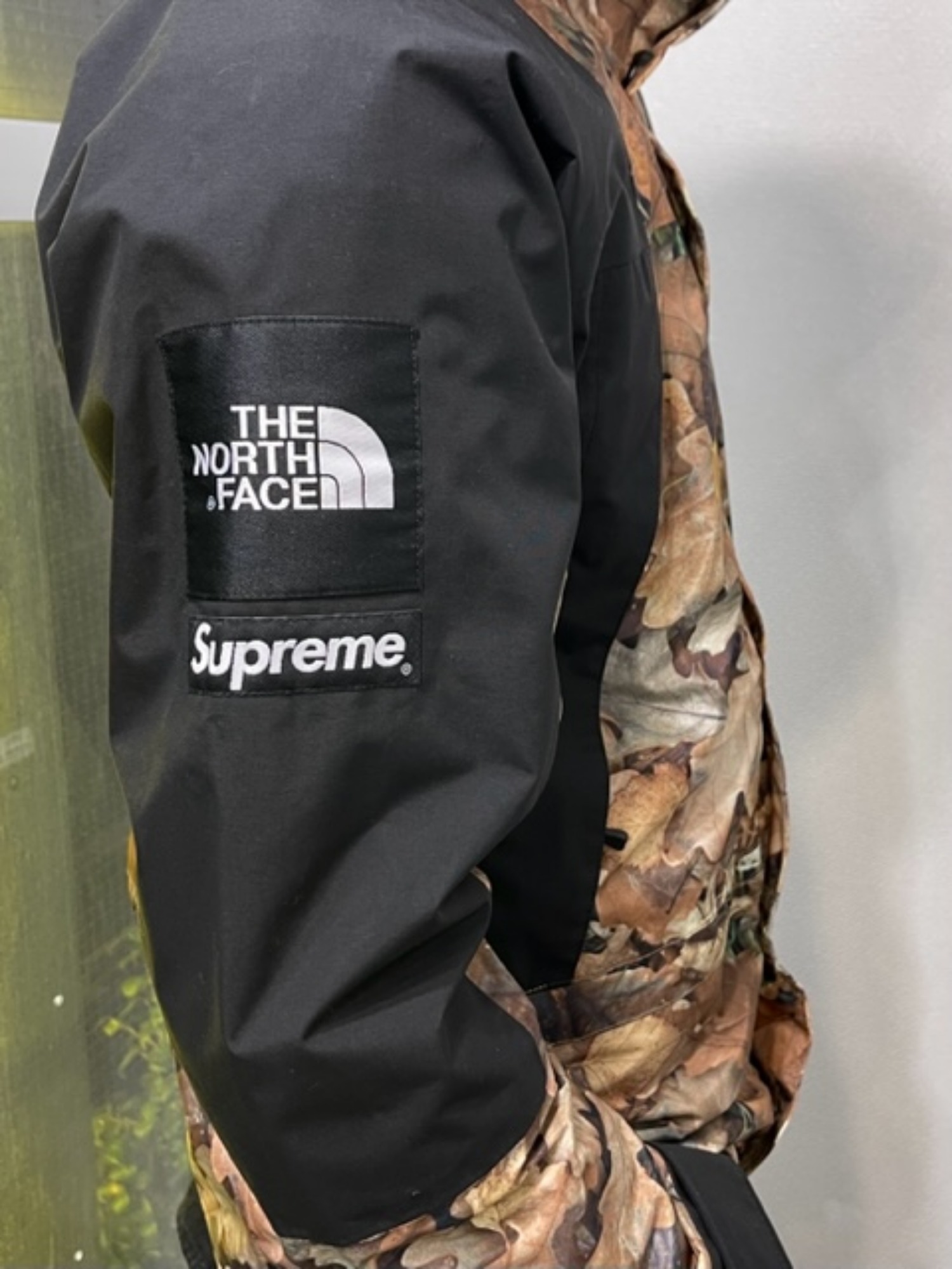 Supreme/The North Face Mountain Light Jacket - Leaves