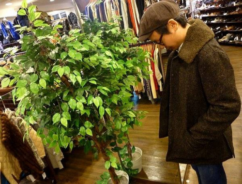 メンズのドメブラ