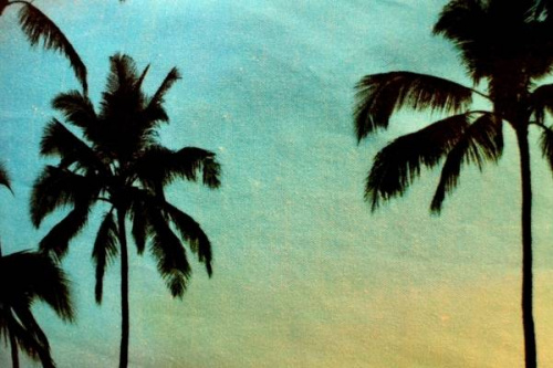 葛西の大人カジュアル