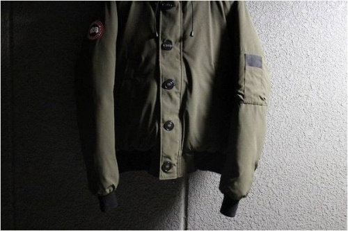 葛西のカナダグース