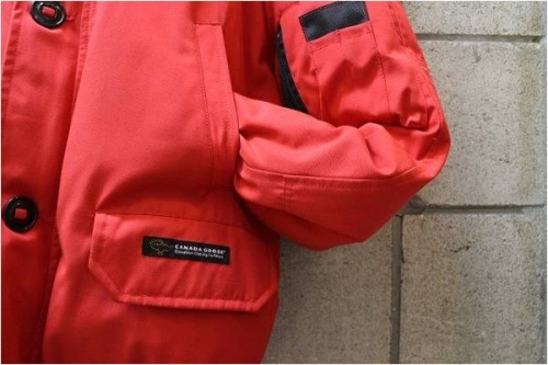 葛西のカナダグース