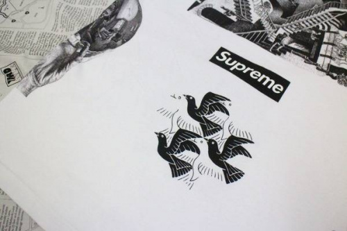 17年05月13日：画像６