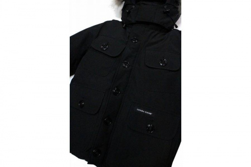 葛西のカナダグース