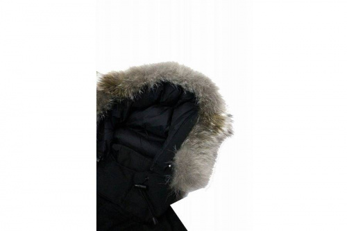 カナダグースのラッセル