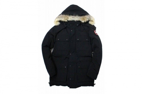 カナダグースの葛西