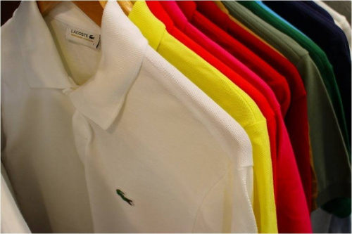 買取入荷のLACOSTE