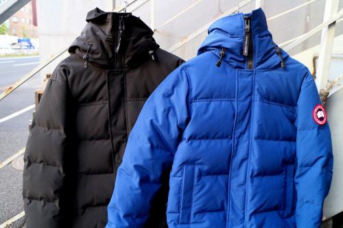 19年11月11日：画像７