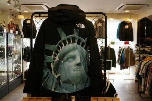シュプリーム × ザ・ノース・フェイスのStatue Mountain Jacket