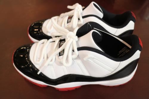 ナイキ エアジョーダンの11 RETRO LOW