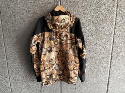 シュプリーム×ザ・ノースフェイスのMountain Light Jacket