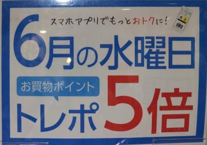 「レディースのポイント 」