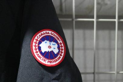 「本厚木のCANADA GOOSE 」