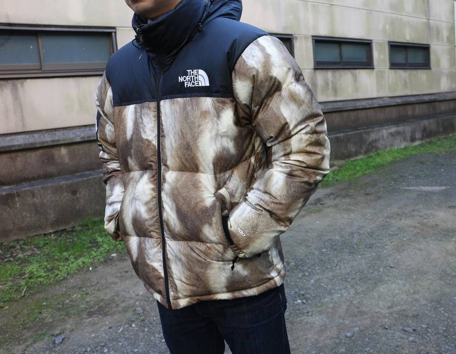 THE NORTH FACE supreme ちくわ ヌプシ