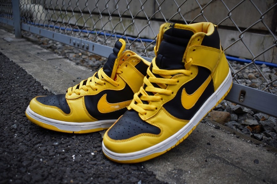 nike dunk high le