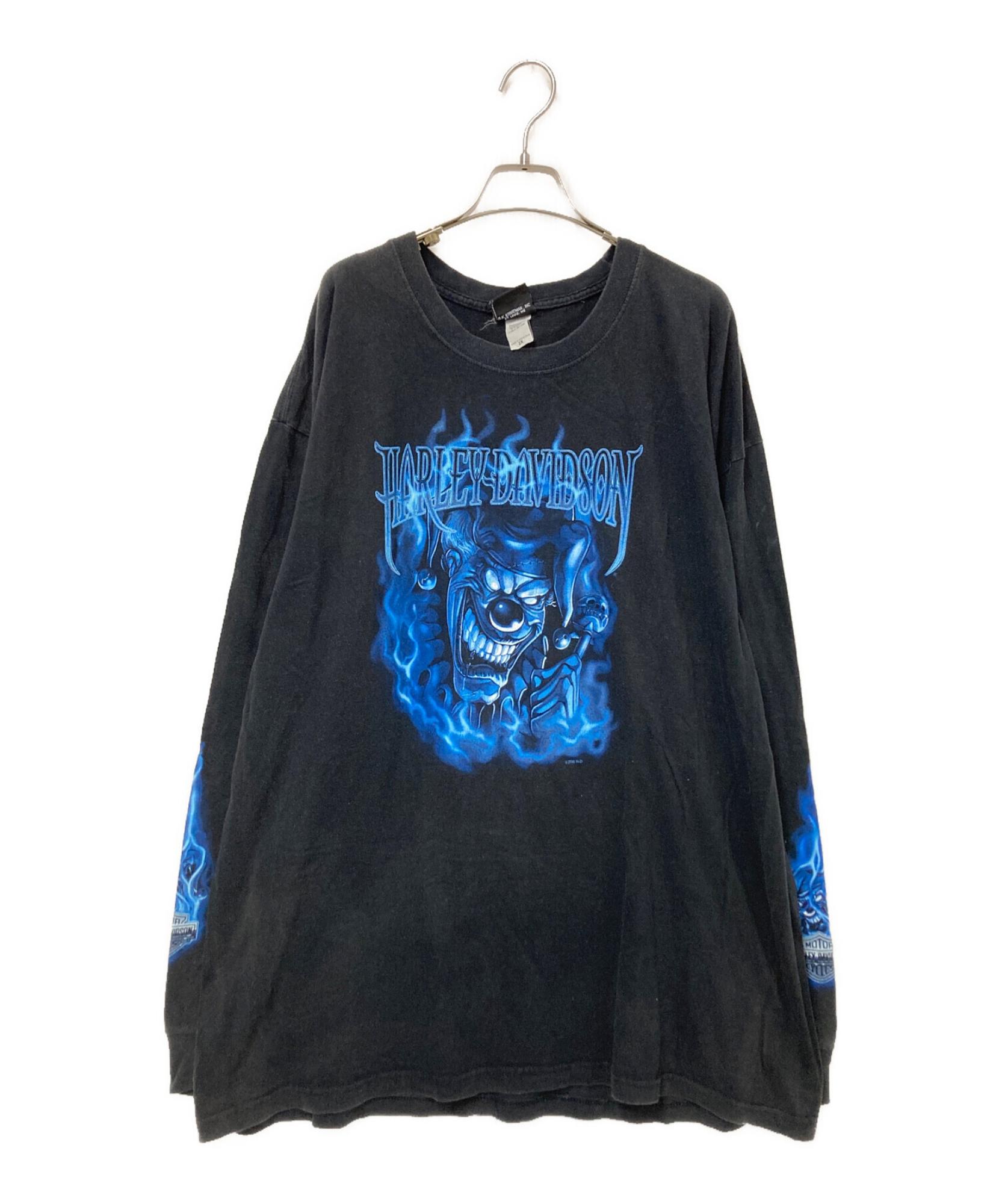 至高のバイカーズスタイル HARLEY-DAVIDSON からブルーフレイム