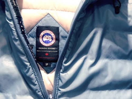 17年01月06日：画像７