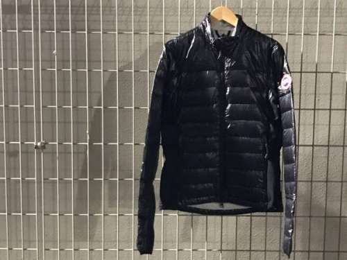 ブランドのダウン