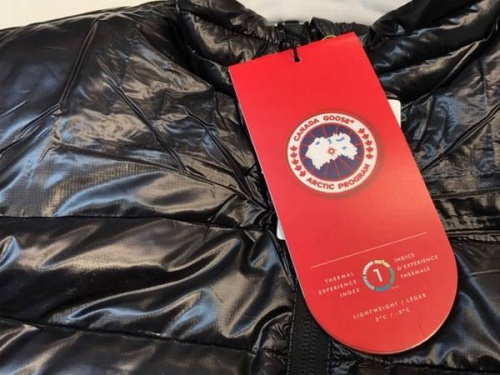 17年01月16日：画像６