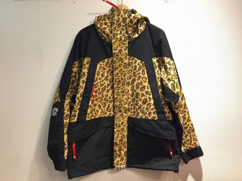 17年02月09日：画像６